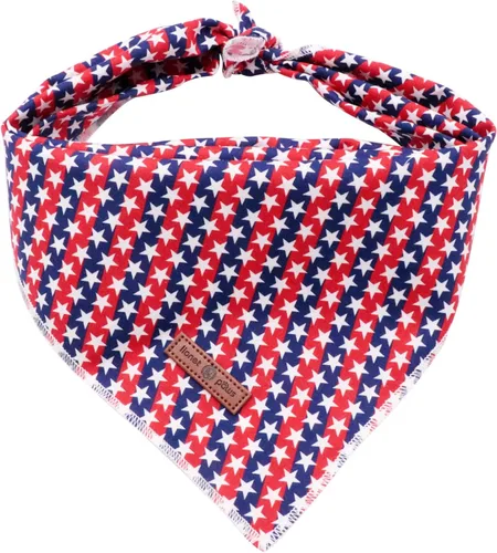 Vista 24 de Lionet Paws Bandana de Acción de Gracias para perro, lavable, de algodón, pañuelo triangular, pañuelo de pavo para perros pequeños, medianos
