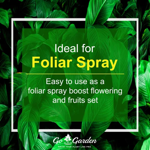 Vista 4 de Go Garden MKP (fosfato monotásico) NPK 00 52 34 Fertilizantes para plantas, jardín y todos los cultivos 900 G Nutrición en aerosol foliar soluble