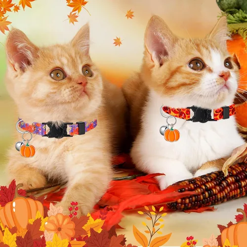 Vista 2 de Talltalk 15 piezas de collar de gato festivo para Halloween, collar de gato Hebilla de seguridad ajustable, calabaza fantasma, se adapta a mascotas