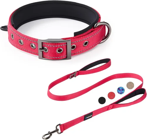 Vista 8 de Annchwool Juego de collar ajustable para perro y correa de 5 pies con hebilla de metal resistente, cómodo forro reflectante y doble asa para perros