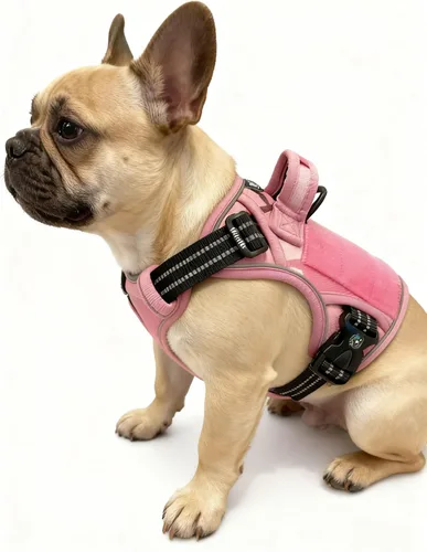 Vista 19 de Arnés táctico para perros medianos y grandes, control ajustable sin tirones con asa, chaleco reflectante resistente, talla XL Verde militar