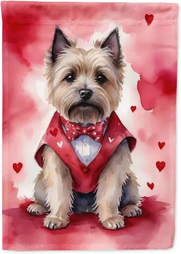 Vista 107 de Caroline's Treasures DAC5252GF Affenpinscher - Bandera de jardín con texto en inglés "My Valentine", bandera decorativa para patio exterior, patio