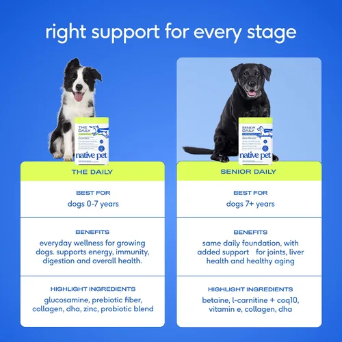 Vista 6 de Native Pet Vitaminas y suplementos diarios para perros mayores – Polvo multivitamínico 12 en 1 para perros mayores – Apoya la movilidad