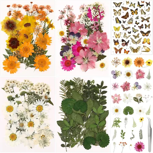 Vista 10 de 160 piezas de flores secas prensadas a granel natural, rosa, rosa