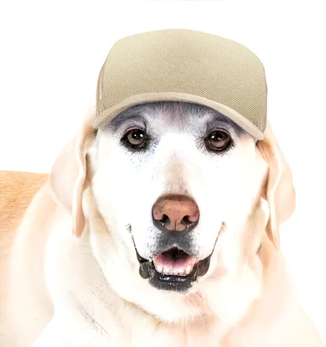 Vista 44 de DIY PupLid Trucker Hats (negro/blanco, XXS) - Sombrero de perro personalizable, lona en blanco para diseño personalizado, ajustable, protección