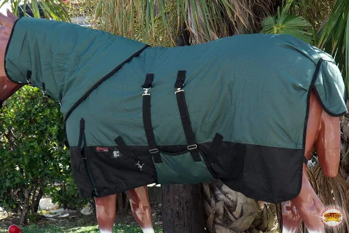 Vista 3 de HILASON Manta impermeable 1200D para caballos de invierno con cubierta para el cuello y envoltura para el vientre 74 pulgadas Hunter verde negro