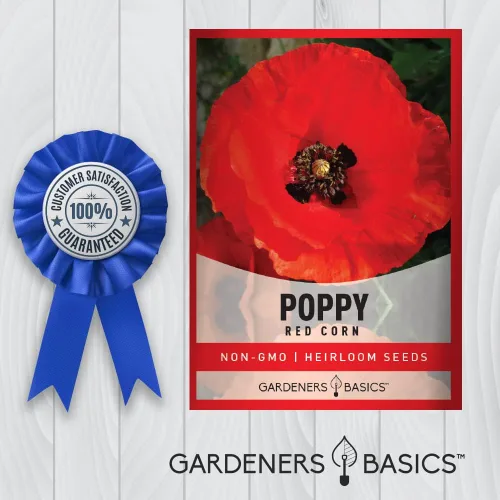 Vista 4 de Gardeners Basics Semillas de amapola para plantar (maíz rojo) - Paquete de semillas de flores rojas reliquia de flores perennes, variedad sin OMG