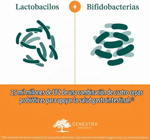 Vista 7 de Genestra Brands HMF Intensive Cuatro cepas de probióticos para apoyar la salud intestinal, la comodidad abdominal y la microflora saludable* 30
