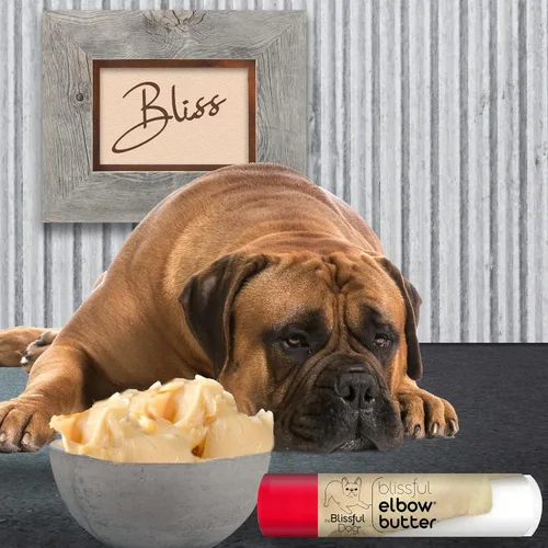 Vista 2 de The Blissful Dog Mantequilla de codo para callos secos y agrietados, bálsamo para perros seguro para lamer, bálsamo calmante para codos con manteca