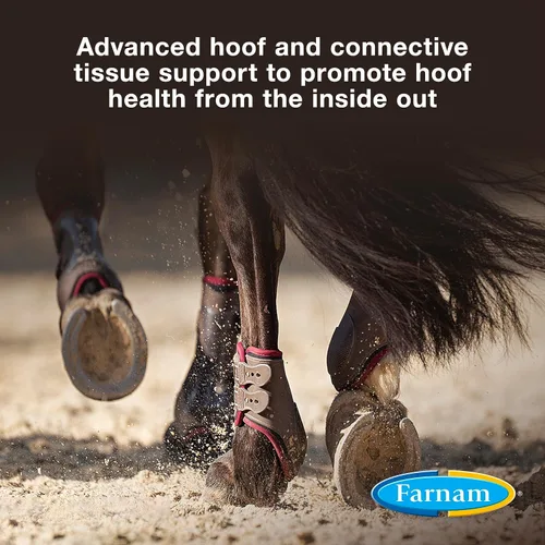 Vista 2 de Farnam Horseshoer's Secret Suplemento de biotina de pezuña y tejido conectivo extra fuerte con aminos para pezuñas fuertes y saludables, tendones