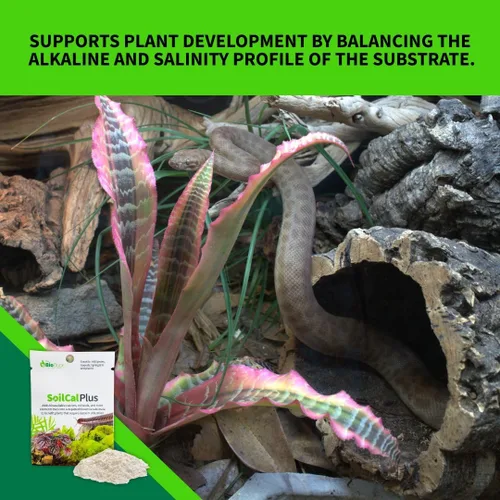 Vista 3 de The Bio Dude Soil Cal Plus - Aditivo de calcio de sustrato bioactivo. Ideal para isópodos, milpiés y plantas