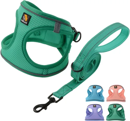 Vista 19 de BELLA & PAL Arnés de chaleco con entrada por pasos para perros pequeños y medianos, arnés para perros pequeños sin tirones con juego de correa