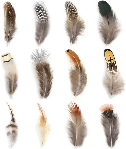 Vista 8 de Ballinger - Plumas naturales surtidas para manualidades, 180 unidades, 9 estilos Small Real Pheasant Bird Feathers for DIY Crafting,Jewelry,Dream
