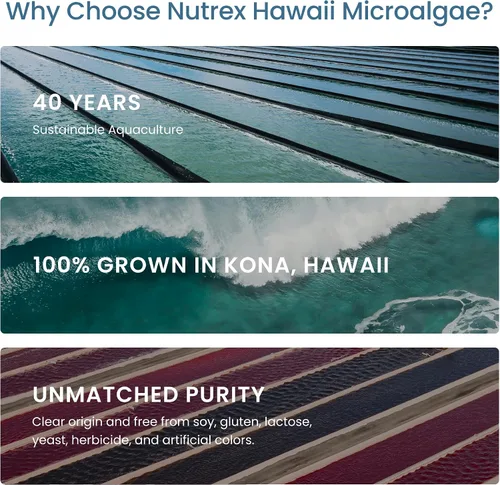 Vista 7 de Nutrex Hawaii Polvo de espirulina hawaiana pura – Superalimento vegano, cultivado en granja en Kona, sin OGM, apoyo inmunológico y energía celular