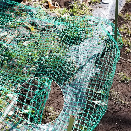 Vista 7 de Boao Red para pájaros para jardín, proteger árboles frutales, verduras, árboles de 13 x 32.8 pies con brida para cables y clavija de jardín