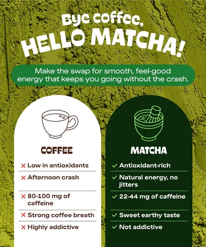 Vista 5 de Té Verde Matcha DNA, certificado orgánico