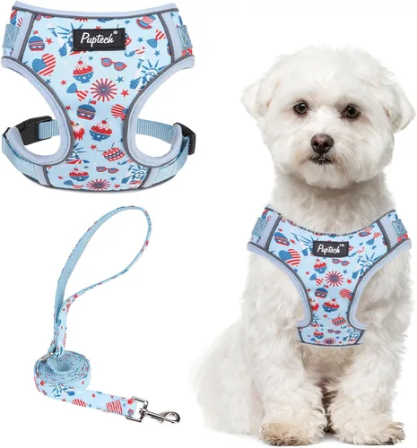 Vista 57 de PUPTECK Juego de arnés y correa para perro pequeño, arnés ajustable sin tirones para cachorro, chaleco de malla suave reflectante para mascotas