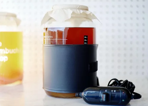 Vista 3 de The Kombucha Shop, Kit de inicio de Kombucha con envoltura térmica prémium