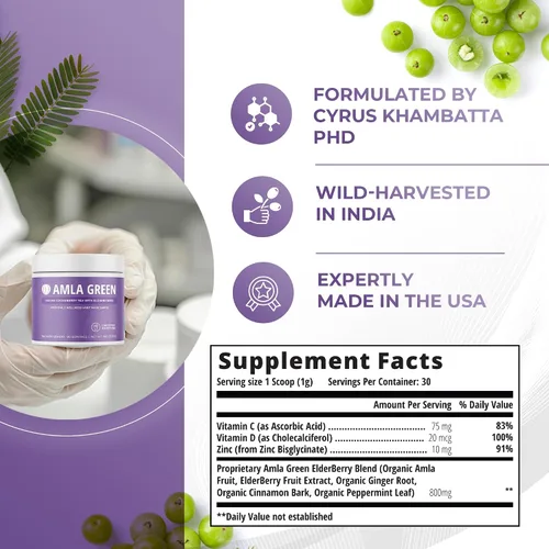 Vista 2 de Amla Powder & Immunity Blend Superfood Suplemento con saúco, 20 veces amla ultra concentrado, apoyo inmunológico, hecho con jengibre, canela, menta