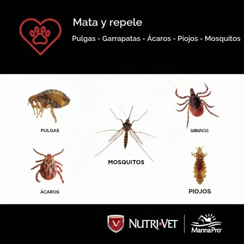 Vista 4 de Nutri-Vet Control de pulgas y garrapatas de defensa para cachorros