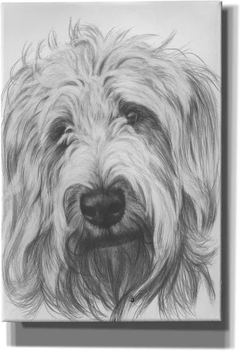 Vista 10 de Epic Graffiti 'Labradootle' de Barbara Keith, arte de pared en lienzo, 12 x 16 pulgadas