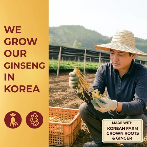 Vista 7 de SAMSIDAE Panax Ginseng rojo coreano con té de jengibre, caja de 50 bolsas, apoya la circulación, la energía, la inmunidad y la digestión, sabor suave