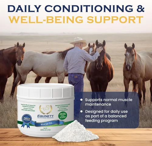 Vista 2 de Productos de Equinety Horse