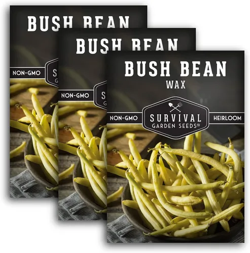 Vista 11 de Survival Garden Seeds - Semilla de frijol Golden Wax Bush para plantar - Paquete con instrucciones para plantar y cultivar frijoles amarillos