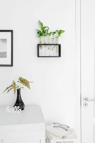 Vista 3 de Mkono Estación de propagación de plantas para colgar en la pared, 5 tubos con soporte de madera, terrario de plantas de escritorio para plantas