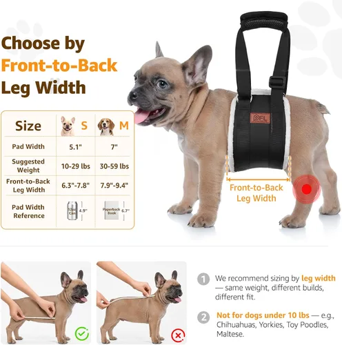 Vista 3 de Arnés de elevación ajustable para perros, cabestrillo para perros grandes, soporte de elevación y arnés de rehabilitación para patas traseras Negro