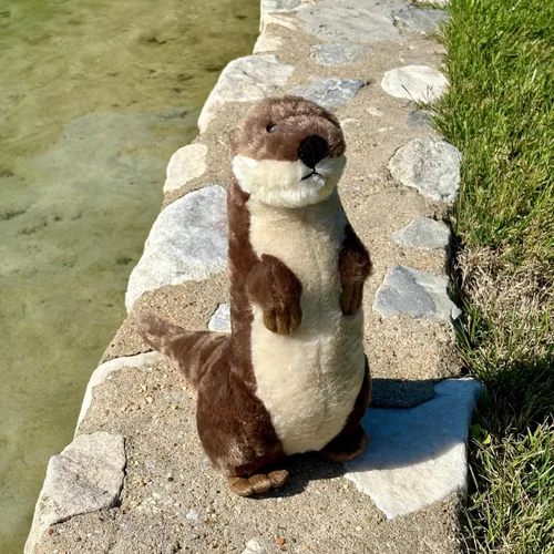 Vista 5 de The Petting Zoo Animal de peluche de nutria de río, regalos para niños, animales salvajes del zoológico Onez, juguete de peluche de nutria de río