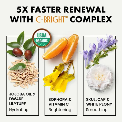 Vista 6 de Eclat Skincare Plump & Smooth - Crema hidratante facial con vitamina C y retinol crema hidratante facial de noche, 100% vegano y desarrollado por