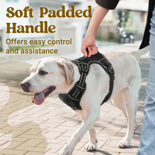 Vista 2 de rabbitgoo Arnés para perro de tamaño pequeño, arnés para mascotas sin tirones con mango acolchado suave, chaleco reflectante ajustable con 3