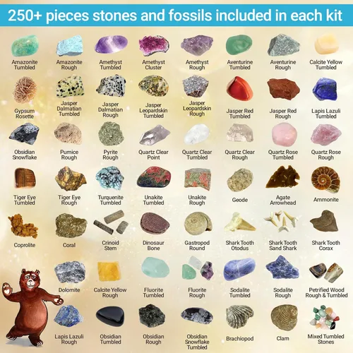 Vista 7 de DANCING BEAR Paquete de fósiles de Geología: 2 kits de actividades STEM: actividad de clasificación de rocas, minerales y geodas y fósiles