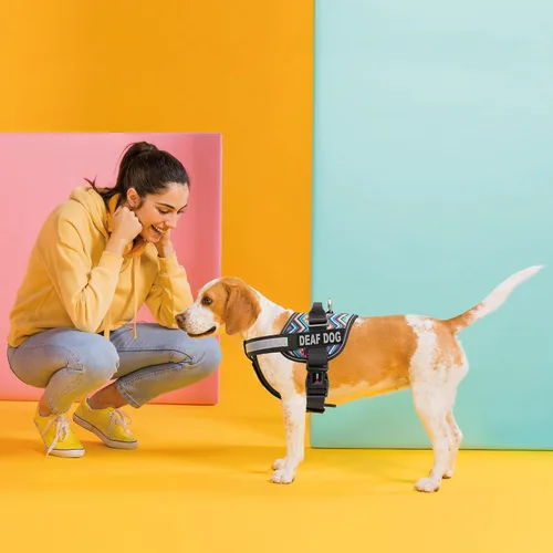 Vista 6 de Dogline Unimax - Arnés para perro con parches para perros sordos reflectantes sin tirones, correas ajustables, neopreno transpirable para médicos