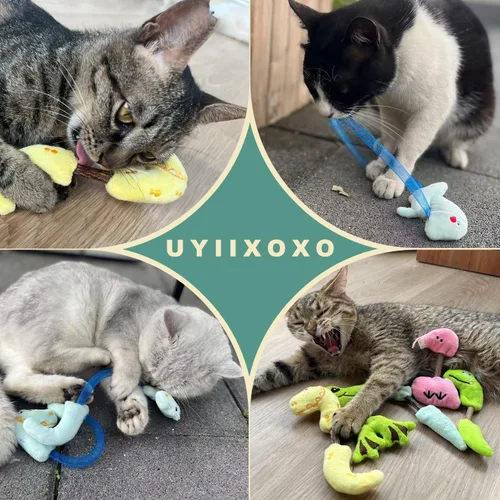 Vista 8 de Juego de Juguetes Interactivos para Gatos, Palitos Masticables de Silvervine y Juguete de Resorte para Gatos, Juguetes de Hierba Gatera