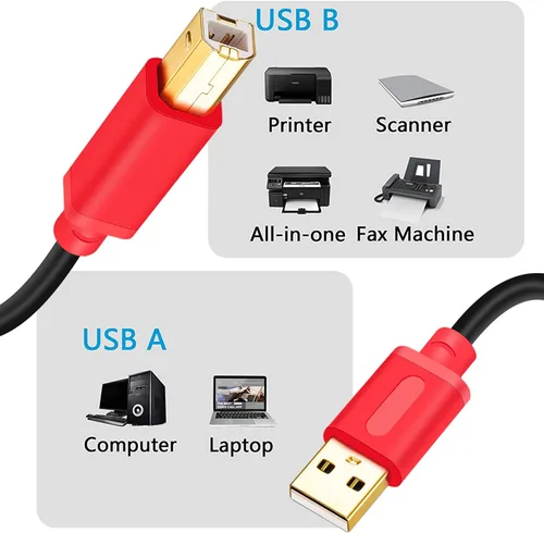 Vista 7 de Tan QY Cable de impresora de 10 pies, USB 2.0 de alta velocidad chapado en oro, cable de escáner de impresora A macho a B macho para HP, Canon