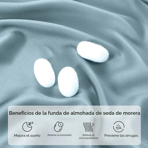 Vista 2 de INFIIXSO Funda de almohada de seda de morera, para cabello y piel, tamaño estándar, cremallera oculta, 20 x 26 pulgadas, suave y refrescante