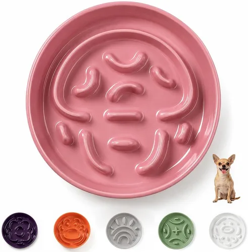 Vista 13 de Cuenco elevado para perros de alimentación lenta, 0.8 tazas de cerámica elevado con soporte inoxidable, cuenco elevado para perros de 6.3 pulgadas