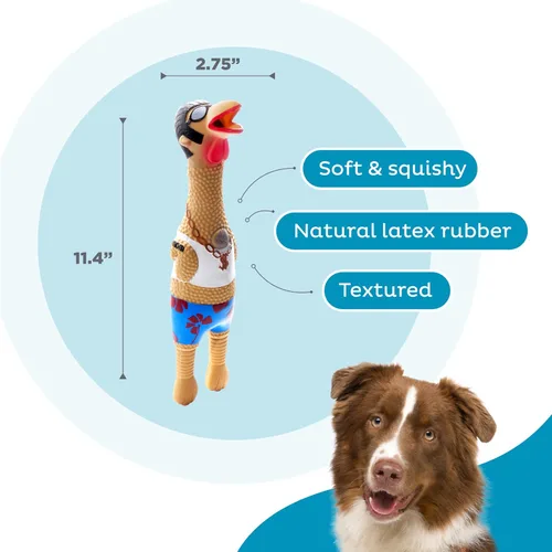 Vista 3 de Outward Hound by Charming Pet Squawkers Earl - Juguete de goma chirriante de látex para perros, divertido juguete interactivo para las fiestas