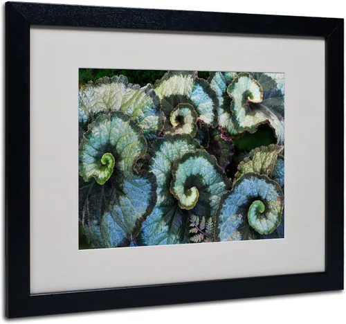 Vista 7 de Trademark Fine Art Escargot Begonia - Arte enmarcado mate por Kurt Shaffer en marco negro, 11 x 14 pulgadas