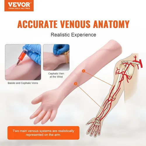 Vista 2 de Kit de práctica de flebotomía VEVOR, kit de entrenamiento intravenoso de venopunción IV, kit de práctica de brazo IV de alta simulación con bolsa