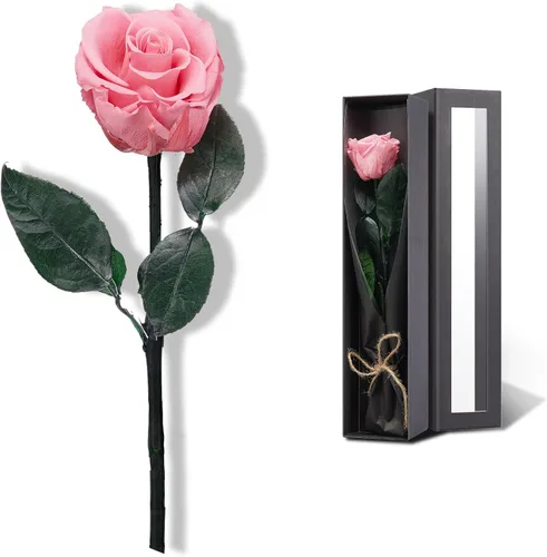 Vista 17 de Flores para Entrega Prime, Rosas Preservadas Regalos de Flores para Mujeres, Rosas Reales Regalos de Rosa Individual para Ella, Regalos
