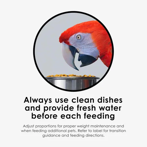 Vista 6 de Kaytee Nutri Soft Pet - Alimento para pájaros de guacamayo y cacatúa, 3 libras