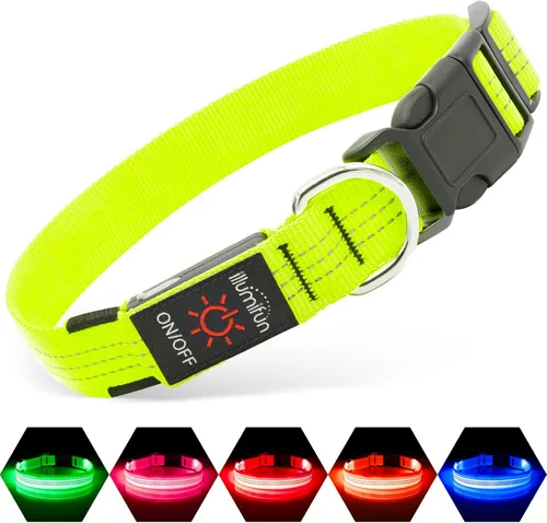 Vista 10 de Illumifun Collar LED para Perros Pequeños - Collar de Seguridad para Perros con Luz Recargable por USB, Collar con Luz de Correa de Nailon Ajustable