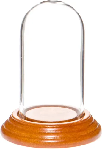 Vista 8 de Plymor Mini cúpula de cristal de 1.85 x 3.5 pulgadas (base de madera MDF negra)
