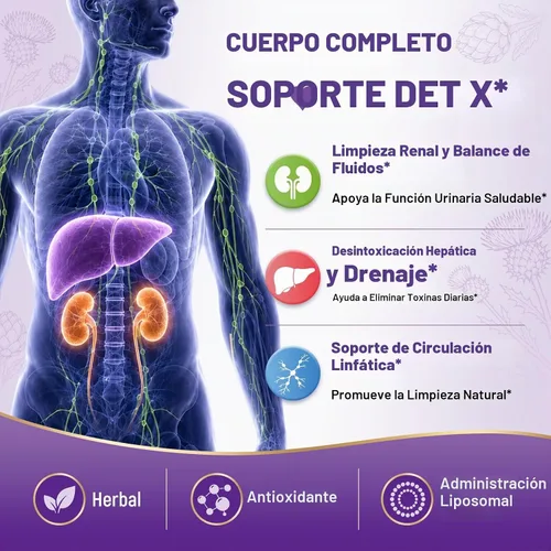 Vista 4 de Gotas 30 en 1 para desintoxicación y reparación de riñón e hígado, limpieza linfática con extracto de arándano, cardo mariano y diente de león