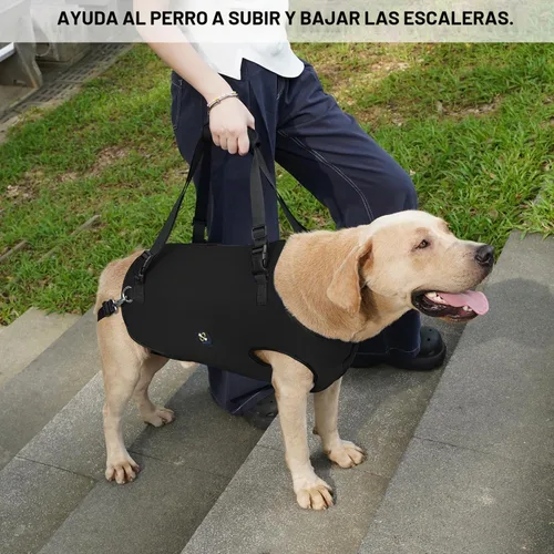 Vista 2 de Coodeo Arnés de elevación para perros, soporte y rehabilitación con correa ajustable acolchada y transpirable para perros ancianos, discapacitados