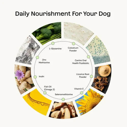 Vista 4 de Suplemento diario de probióticos + prebióticos + postbióticos para perros 12 en 1 intestino, articulaciones, alergia, inmunidad, calmante y salud