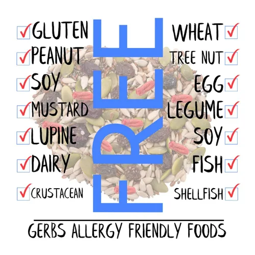 Vista 3 de GERBS Superfood Snack Mix de 2 libras. Los 14 mejores alimentos libres de alergias Bolsa a granel Fabricado en Estados Unidos Calabaza